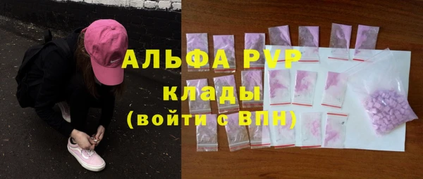 PSILOCYBIN Алзамай