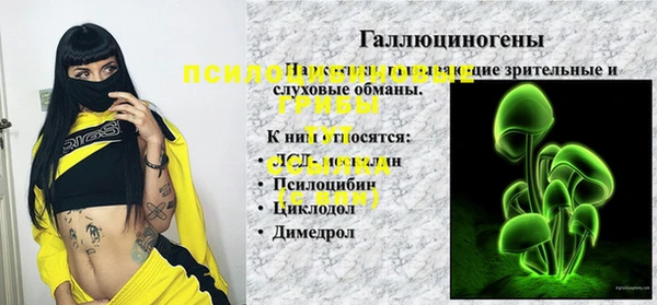 гашик Абдулино
