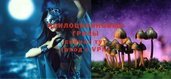 ECSTASY Алексеевка