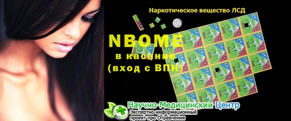 PSILOCYBIN Алзамай