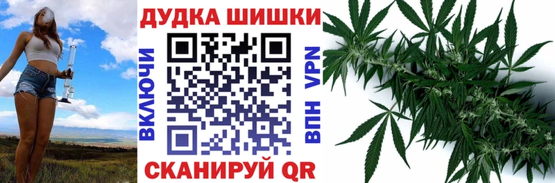 Шишки марихуана план  shop какой сайт  Краснозаводск 
